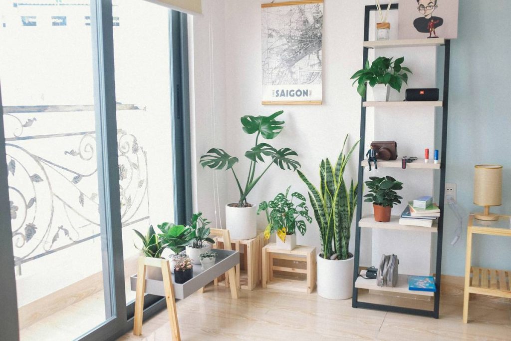 10 Stunning Planters for Home Decor That Transform Bare Walls Into Living Art