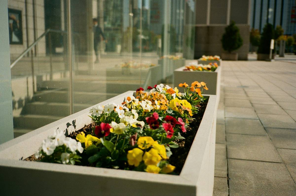 11 Game-Changing Ideas for Decorative Planters for Outdoor Plants That Actually Survive the Weather
