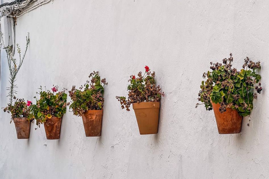 Homepage for Home Improvement Home Decor & Accessories wall planters