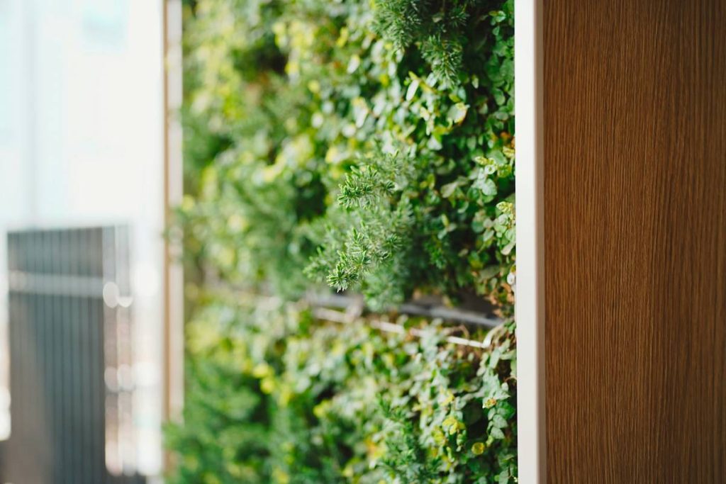 Indoor Wall Planters Decor: Your Secret Weapon for Fresh, Space-Smart Styling