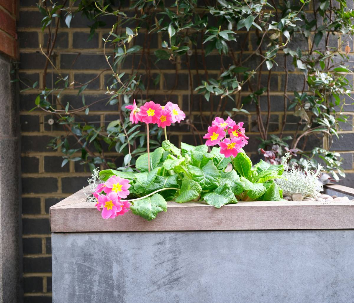 Infographic showing top 3 reasons decorative planters for outdoor plants fail: material cracking, weak anchors, poor drainage