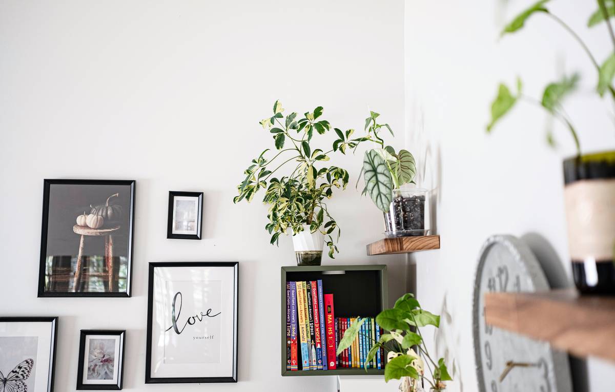 Comparison chart of wall planter types: pocket panels, hanging pots, shelf planters, showing weight capacity, ideal plants, and installation difficulty