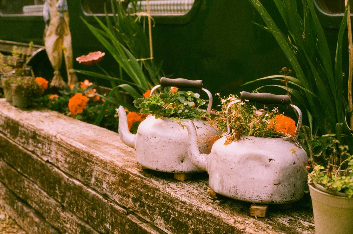 low budget diy garden planters made from reclaimed wood on a sunlit wall