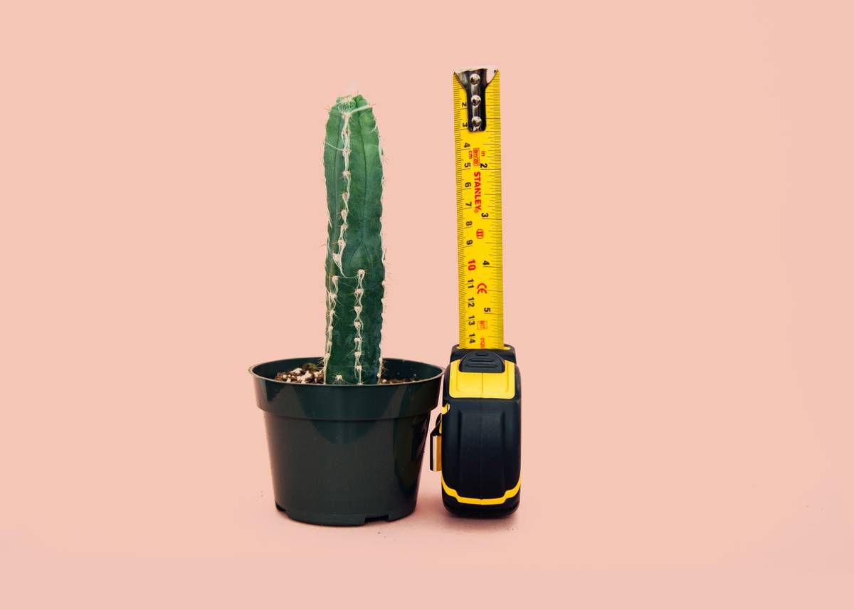 Decorative Planters for Indoors: Style, Zero Maintenance, and the Truth About "Fake" Greenery