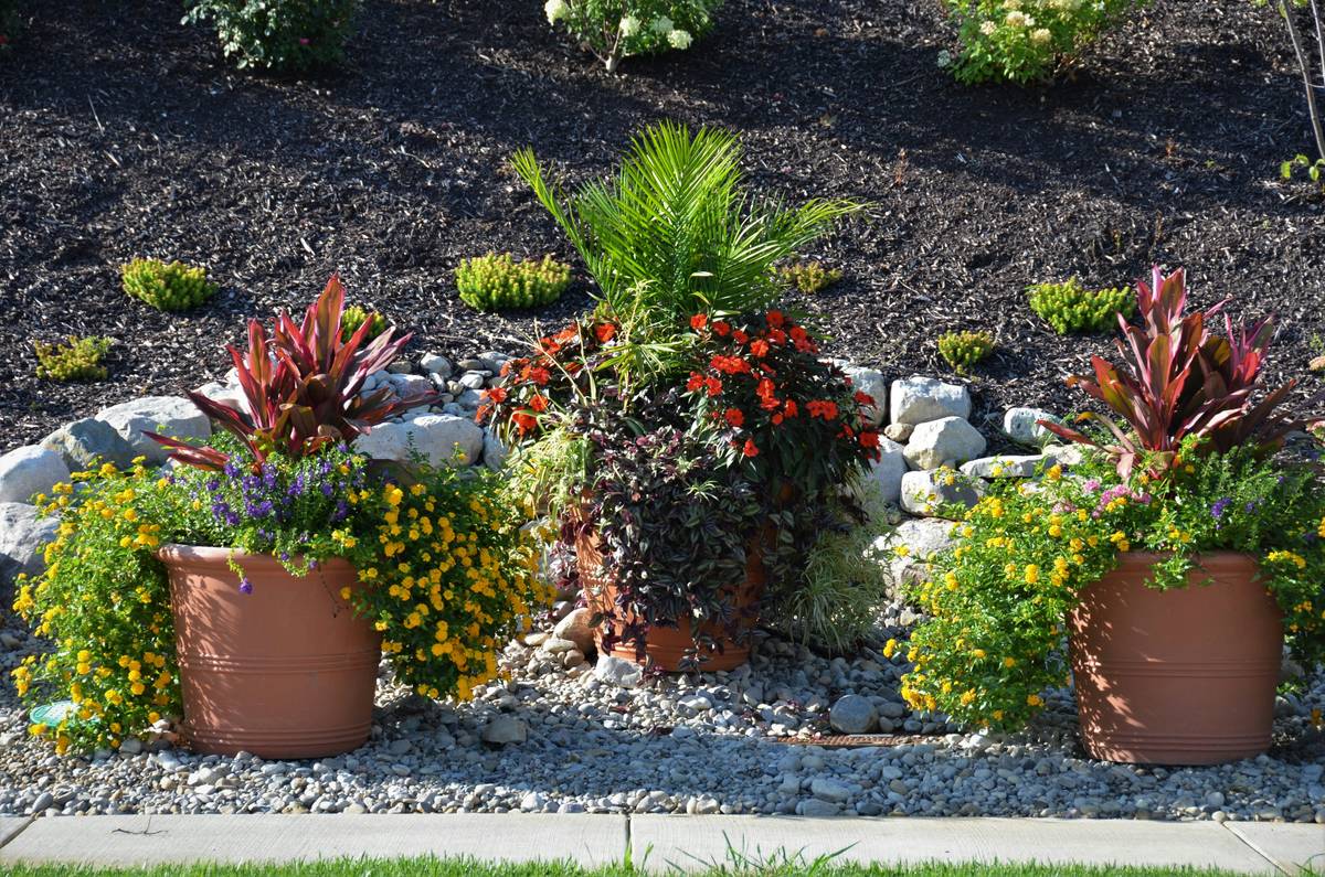 Low Maintenance Planter Beds: The Smart Way to Add Greenery Without the Grunt Work