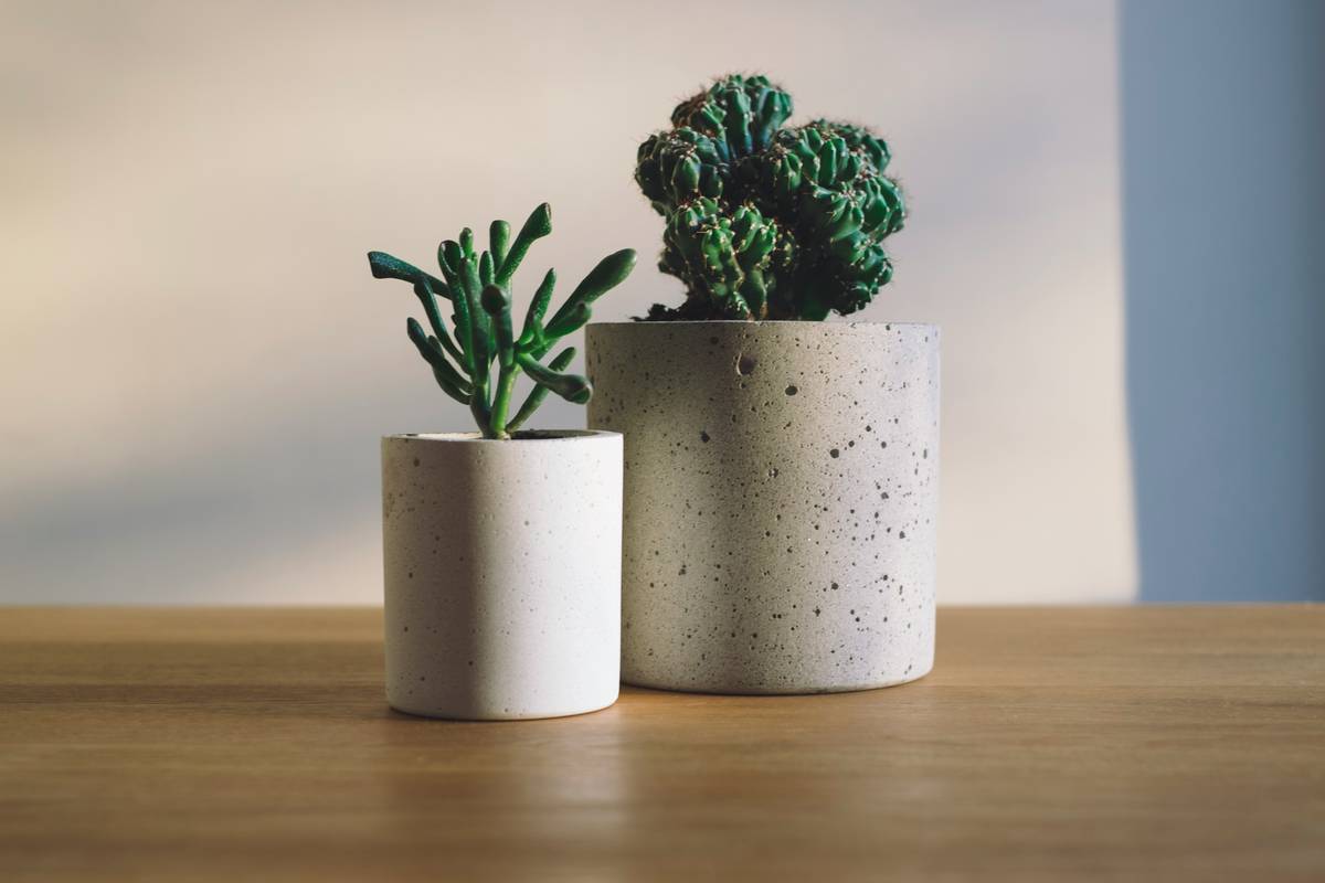 Comparison of indoor decorative hanging planters in Denver home styles