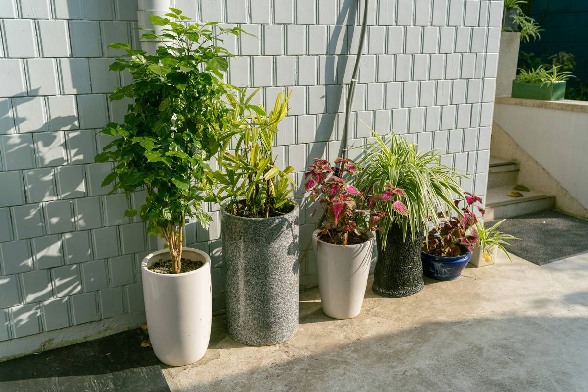 Stylish indoor decorative hanging planters with artificial pothos in a sunlit Denver loft