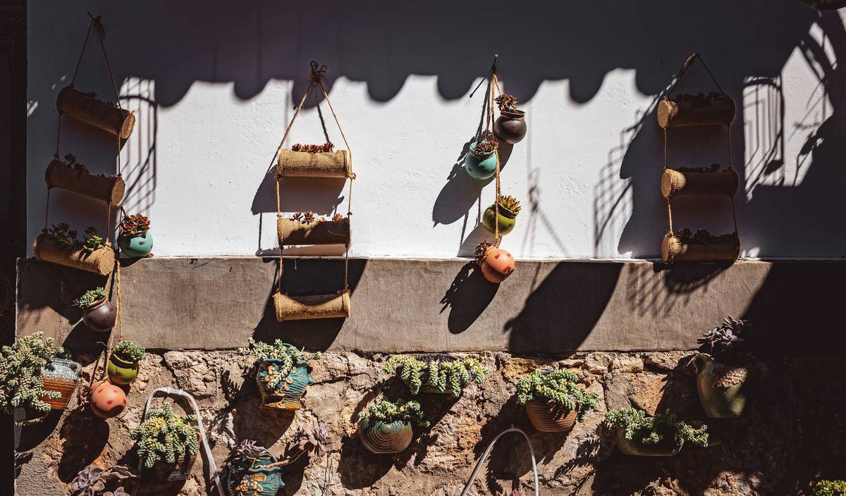Side-by-side comparison: left shows a warped, water-damaged wooden wall planter; right shows a durable, well-drained metal planter with thriving herbs