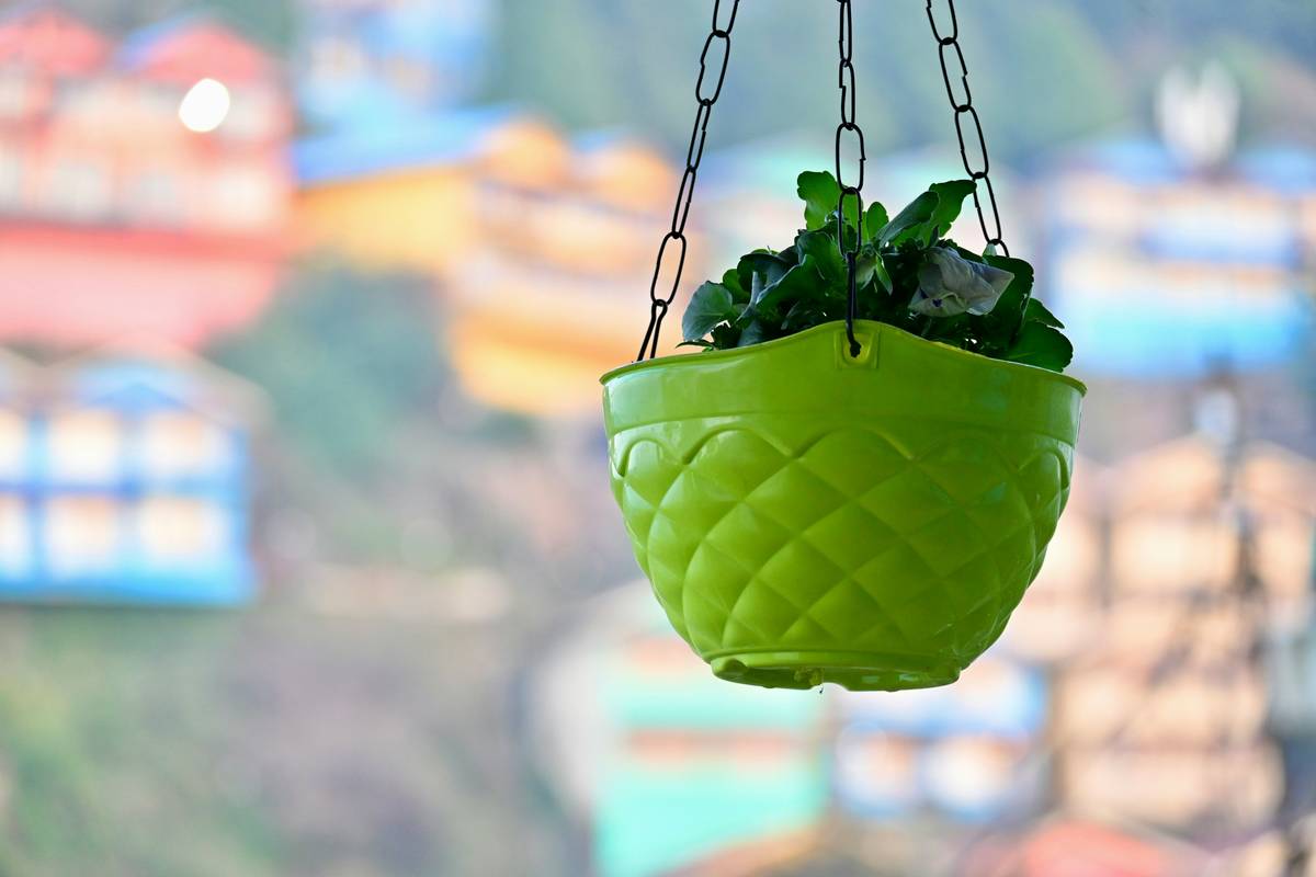 Wall Planters for Outdoor Plants: Grow Up, Not Out—Without Killing Your Greenery