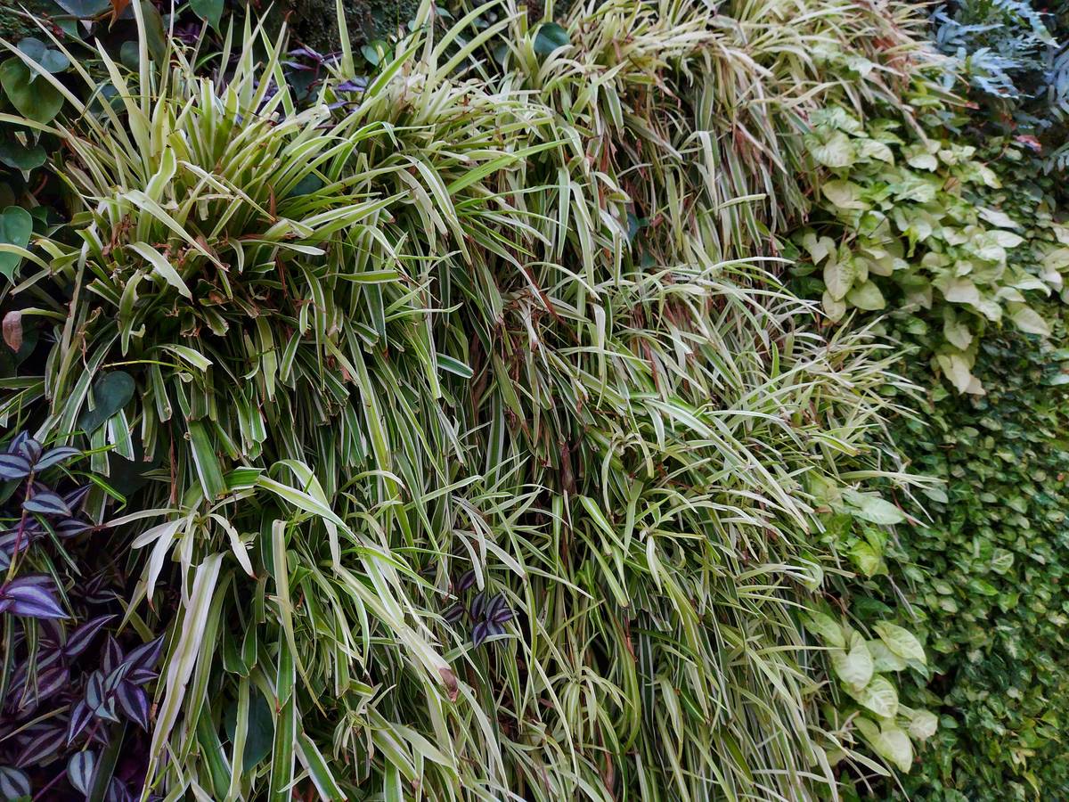 Close-up of premium artificial wall planters showing realistic leaf texture and natural-looking planter materials