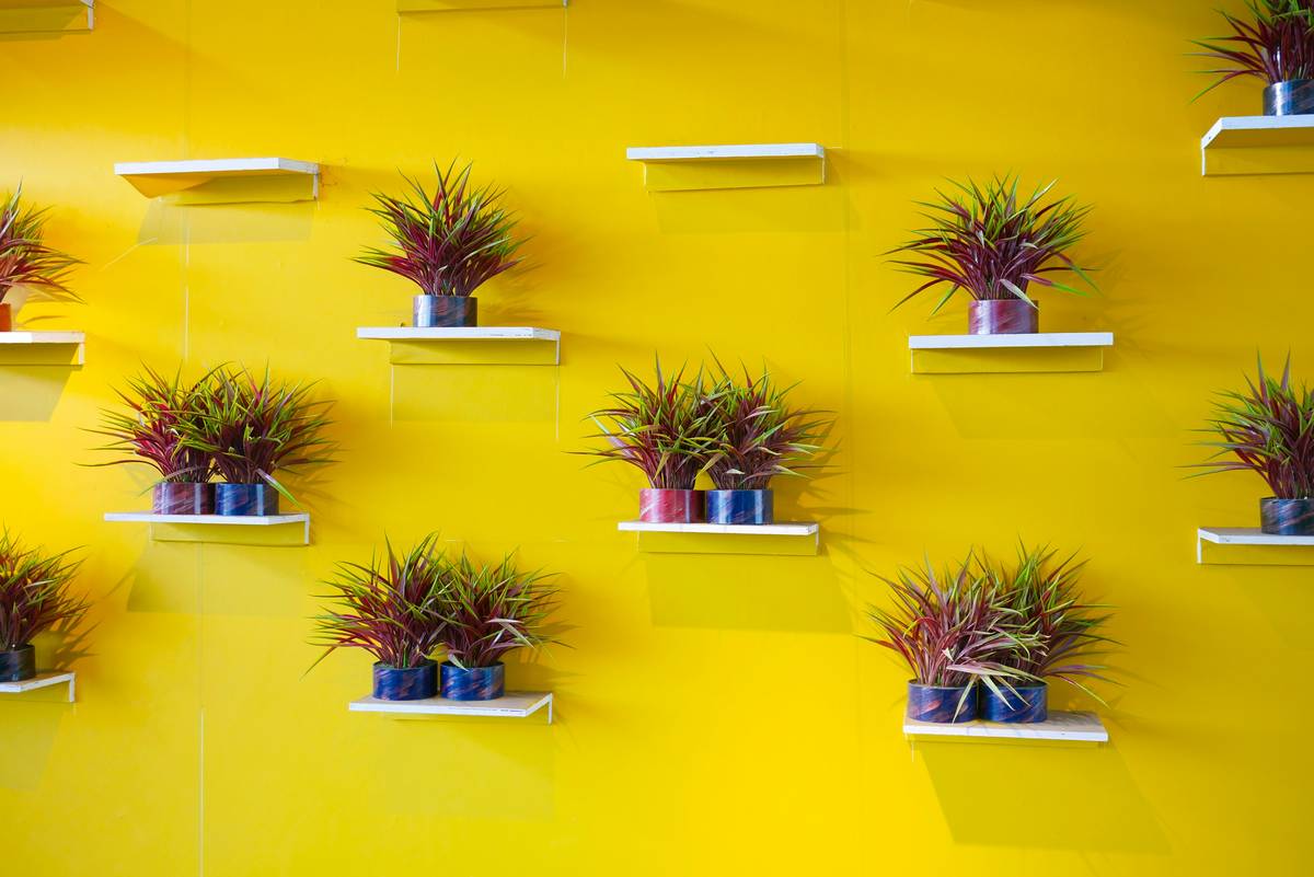 Modern living room with stylish artificial wall planters creating a lush green accent wall
