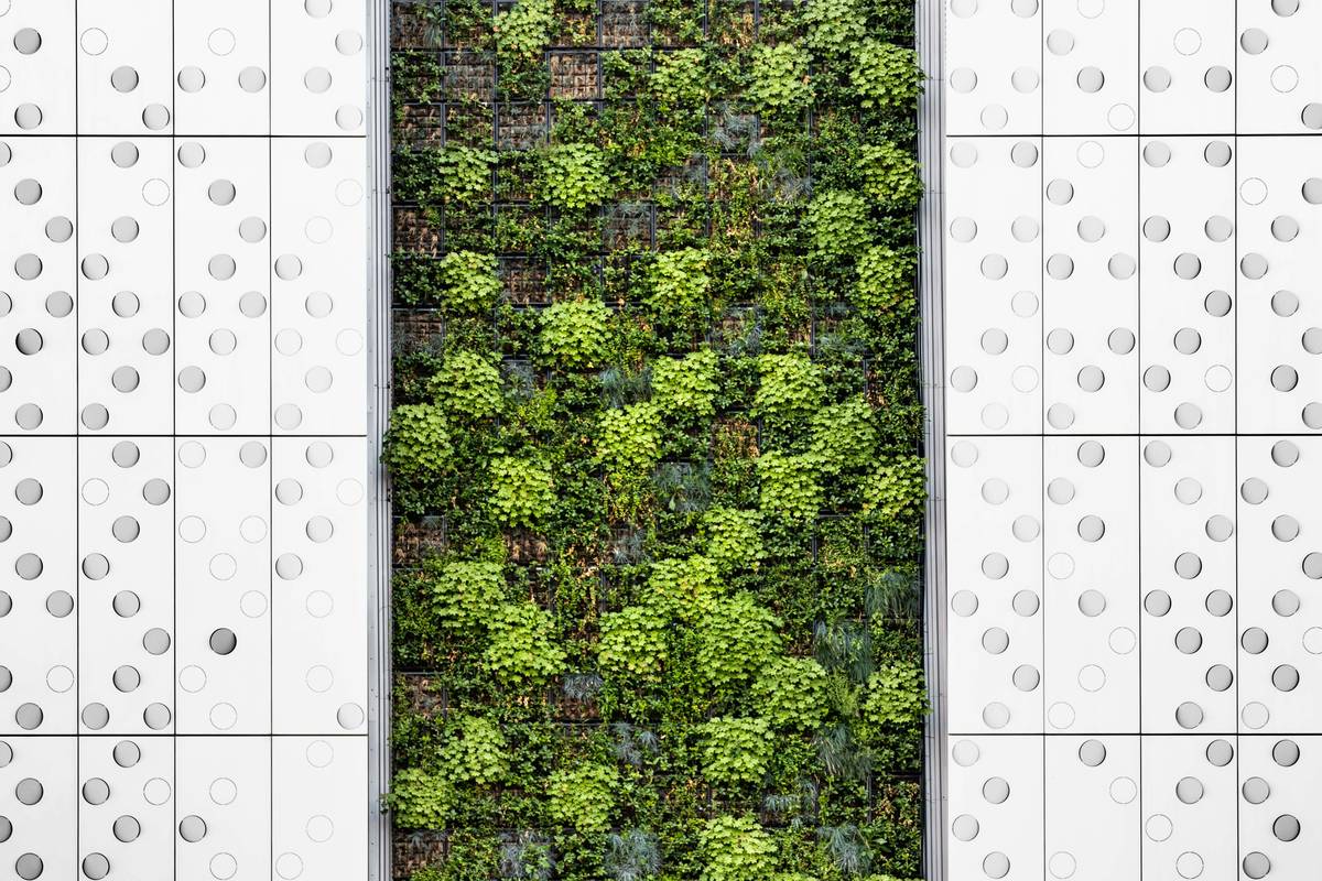 Garden Wall Planters Outdoor: The Smartest Way to Grow Vertical Greenery Without Wasting Space