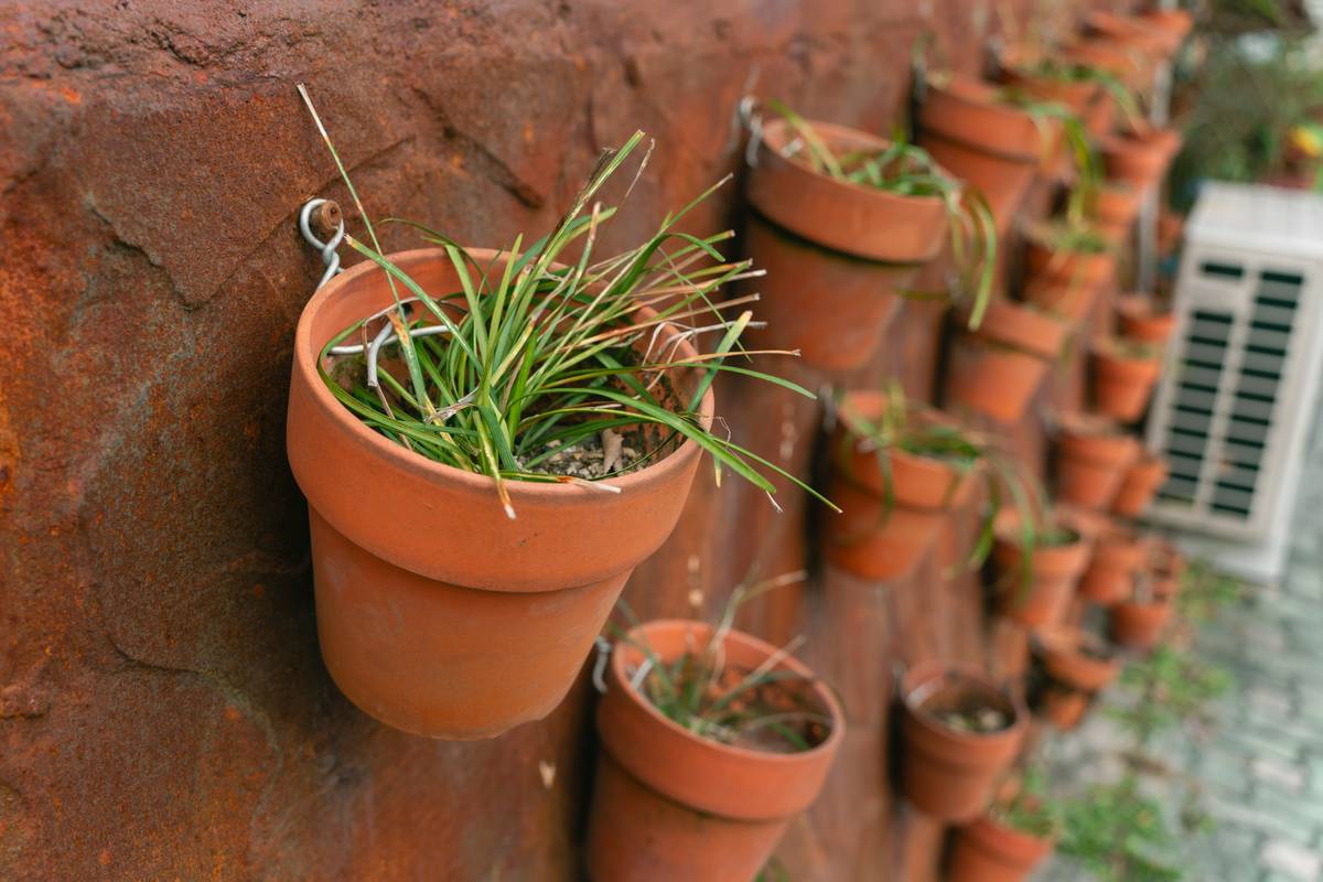 Modern garden wall planters outdoor mounted on a textured stucco wall with trailing ivy and rosemary
