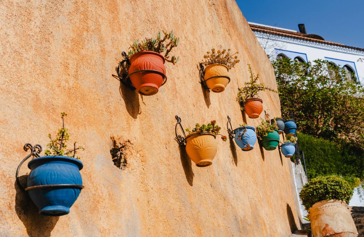 Close-up of garden wall planters outdoor showing built-in drainage channels and healthy mint growing in full sun